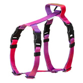 Gradient Tango Dog Harness by Bowl and Bone